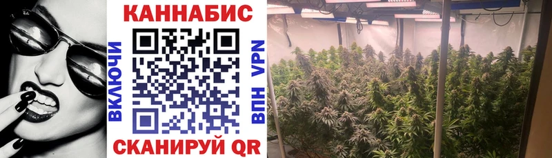 Шишки марихуана тримм даркнет сайт Абдулино